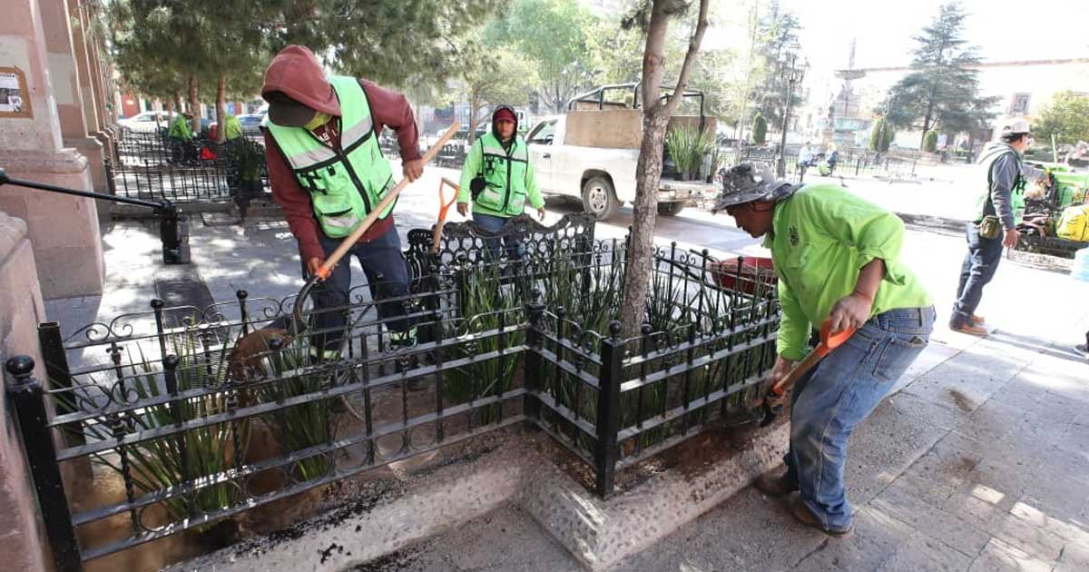 Reforestación Saltillo